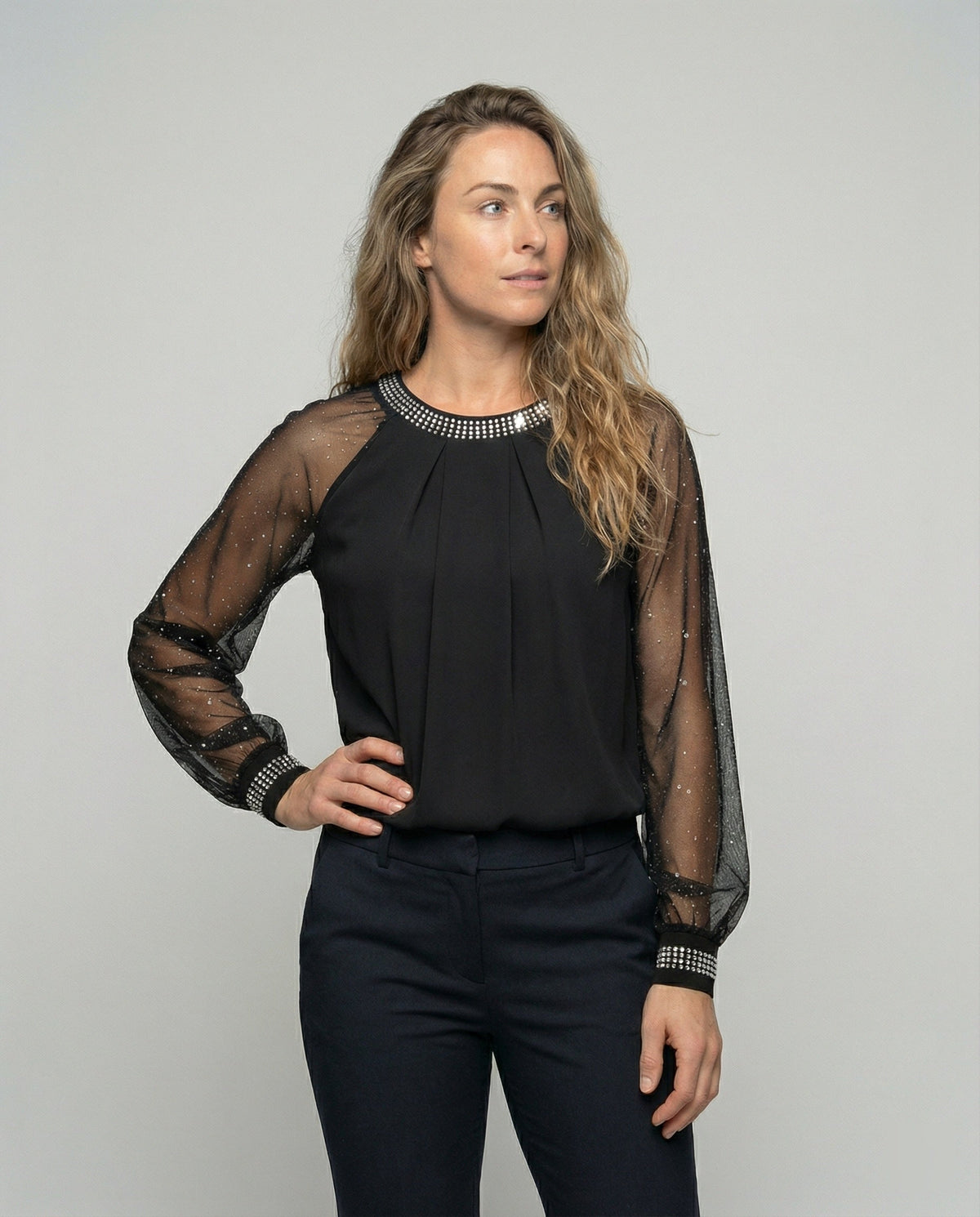 Odette Sequin Mesh Sleeve Top